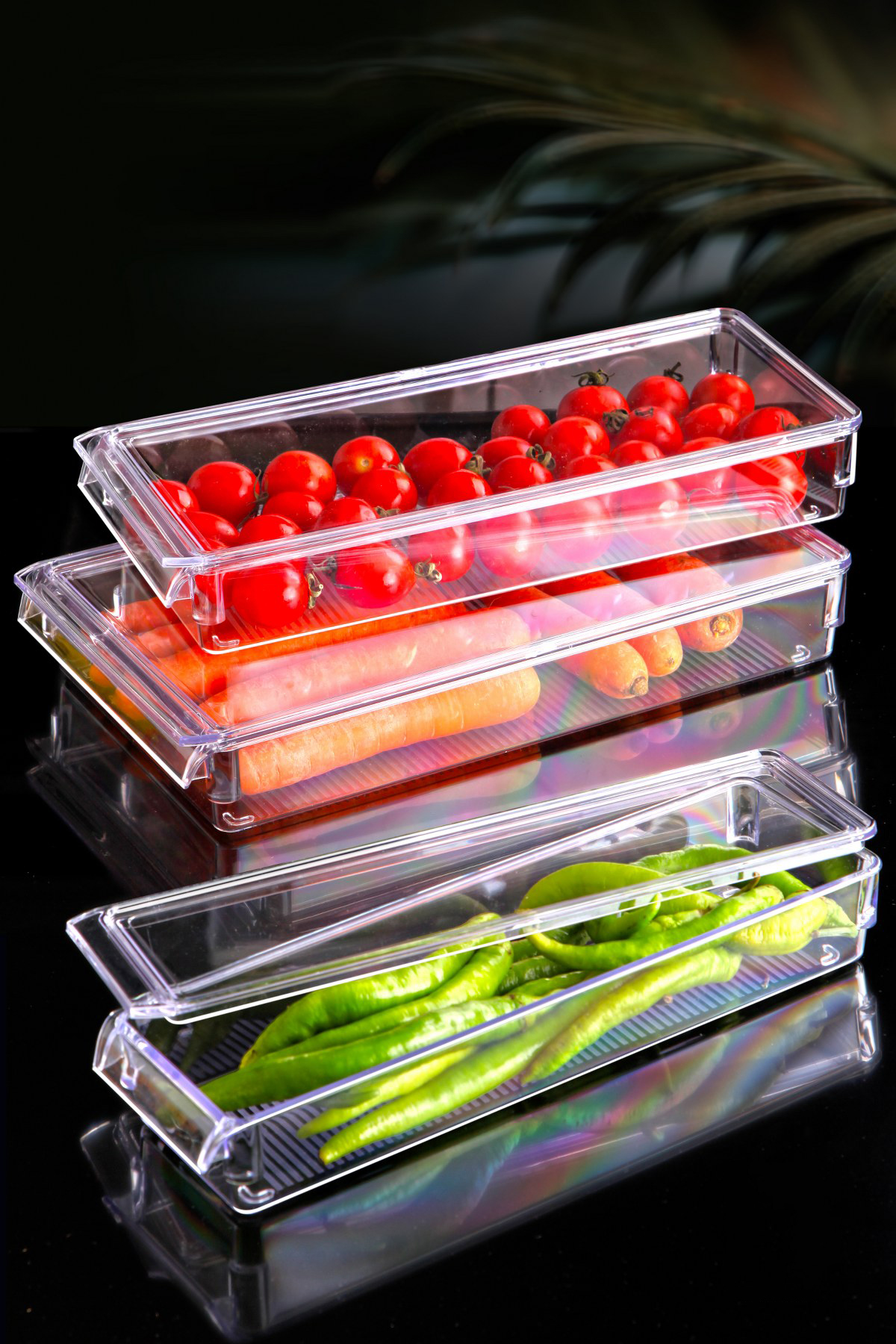 NEW CLEAR ORGANIZER KAPAKLI